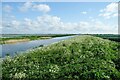 TL4987 : On Hundred Foot Bank near Pymoor by Jeff Buck