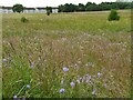 NS6267 : Meadow, Robroyston Park by Richard Sutcliffe