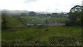 SH6039 : Fields by the Ffestiniog Railway by Alpin Stewart