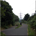 SE2320 : Huddersfield Road exit, Spen Valley Greenway, Dewsbury by habiloid