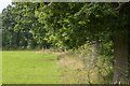 SJ8717 : Hedgerow and field by P Gaskell