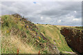 NO7153 : Contrasting vegetation on adjacent cliffs by the Elephant Rock by Adrian Diack