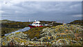 J6086 : The 'Bangor Boat' at Mew Island by Rossographer