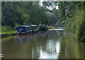 SJ5759 : Narrowboats moored along the Shropshire Union Canal by Mat Fascione