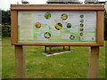 SU8799 : Fabulous Fungi Information Board at Holy Trinity Church (1) by David Hillas