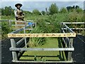 ST4286 : Pond dipping area, Magor Marsh by Robin Drayton