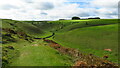 SK1960 : View southeast along Long Dale near Pikehall by Colin Park