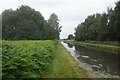 SP0294 : Tame Valley Canal towards Tame Aqueduct by Ian S