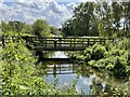 TF9528 : The 'Kingfisher Bridge', Pensthorpe Natural Park by Nigel Thompson