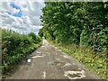 NY0880 : Lochmaben Castle Access Track by David Dixon