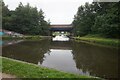 SO9793 : Tame Valley Canal from the Walsall Canal by Ian S