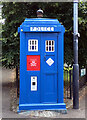 NS6065 : A police box at the junction of Cathedral Square and Castle Street, Glasgow by habiloid