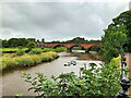 NY1966 : River Annan, Annan Bridge by David Dixon