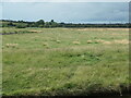  : Farmland between Frodsham Cut and the Weston Canal by Christine Johnstone