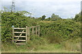 ST3483 : Overgrown gated footbridge by M J Roscoe