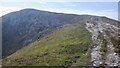 NN9370 : Path on Beinn Mhaol by Richard Webb