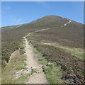 NN9269 : Path on Carn Liath by Richard Webb