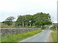 SE0165 : Trees at New Rake House by Stephen Craven