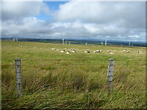  : View to Mynydd Clogau wind farm by Jeremy Bolwell