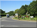 SU3802 : Horses grazing, Beaulieu by Malc McDonald