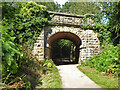 SO6412 : Dilke Bridge near Cinderford by Chris Allen