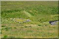 NT0714 : Sheepfold by the Powskein Burn by Jim Barton