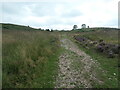 SJ9818 : 'Ascend the hill following ... the Staffordshire Way' by Christine Johnstone