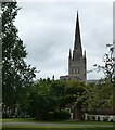 TG2308 : Norwich - The cathedral from the Great Hospital grounds by Rob Farrow