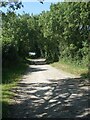 SS8878 : Track on Bridgend Circular Walk approaching patch of woodland near Whitney Farm by eswales