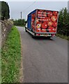 SO4110 : Tesco home delivery van, Tregare, Monmouthshire by Jaggery