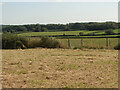 SS8778 : Countryside north of Merthyr Mawr from the Bridgend Circular Walk by eswales