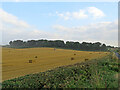 TL3338 : Baling on a September evening by John Sutton