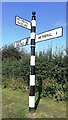 NY4654 : Cumberland County Council finger signpost on verge west of Wetheral Methodist Church by Roger Templeman