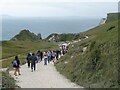 SY8180 : Footpath to Durdle Door by Malc McDonald