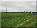 TM4976 : Over  Reydon  Marshes  from  flood  bank  footpath by Martin Dawes