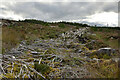 NH4896 : Cleared Forestry in Inveroykel Wood, Ross-shire by Andrew Tryon