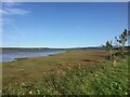 NX4758 : Marshland at the River Cree estuary by Eirian Evans