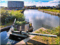 SJ8196 : Pomona No 3 Dock, Manchester Ship Canal by David Dixon