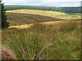 NT3042 : Summit of Leithen Door Hill by Jim Barton