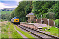 SD7920 : Class 45 Diesel Locomotive approaching Irwell Vale by David Dixon