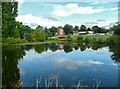 SK8969 : The Fishpond, Doddington Hall estate by Humphrey Bolton