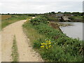 SZ3293 : Solent Way, near Lymington by Malc McDonald