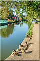 SP3584 : Coventry Canal  by Ian Capper