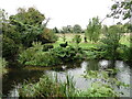 TL9369 : Hippopotamuses at Pakenham Watermill by Adrian S Pye