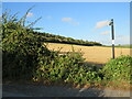 TQ6762 : Public footpath near Snodland by Malc McDonald