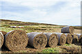 NZ0323 : Bales near, far and beyond by Trevor Littlewood