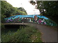 TF1703 : Murals on the Werrington underpass at Cuckoo's Hollow by Paul Bryan