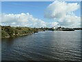 SJ4277 : Stanlow No 2 Dock, Manchester Ship Canal by Christine Johnstone