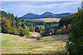 NT4332 : Valley of the Yair Burn by Jim Barton