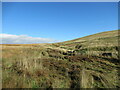 NN8302 : New deer fencing under construction below Glentye Hill by Alan O'Dowd